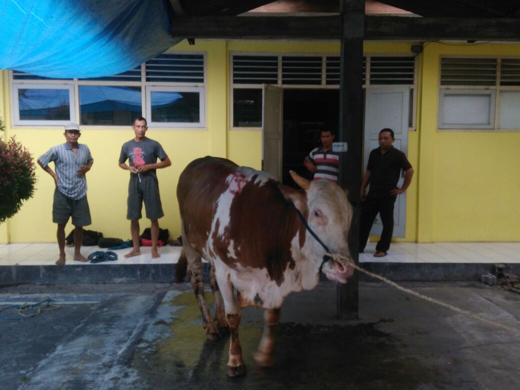 Sekolah Laksanakan Penyembelihan Hewan Qurban